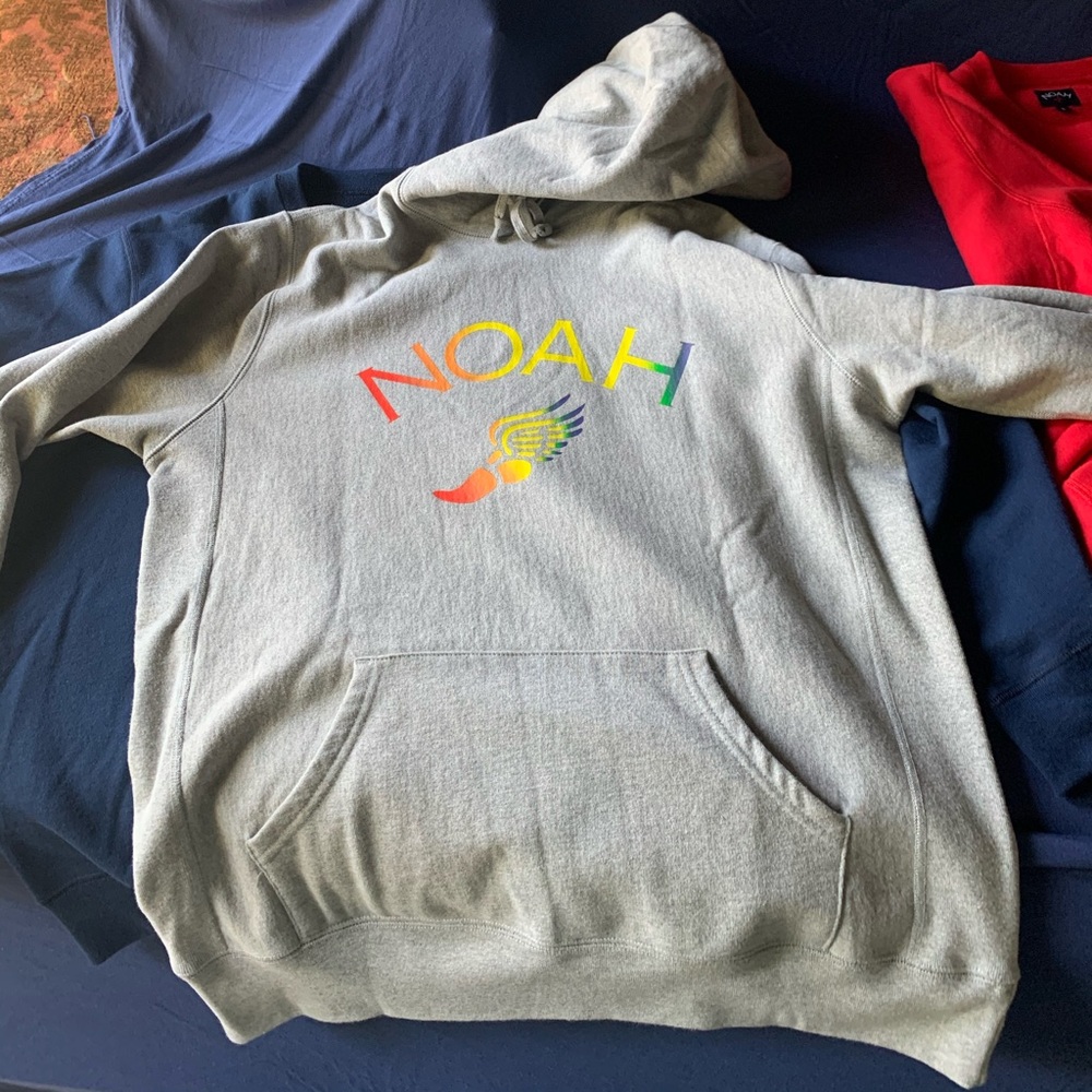 Noah Rainbow Wing Foot Grey Hoodie